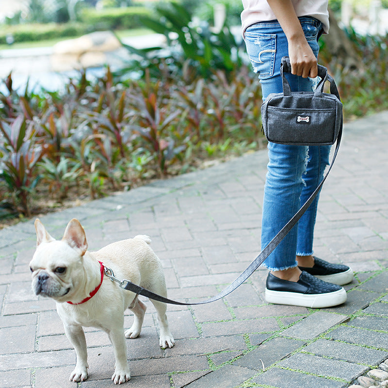 Pet Bag With Leash