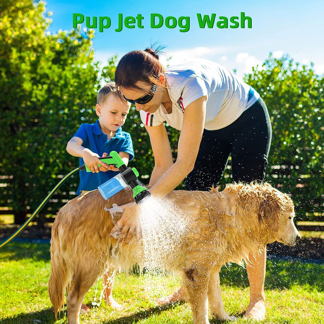 Pet Dog Wash Outdoor