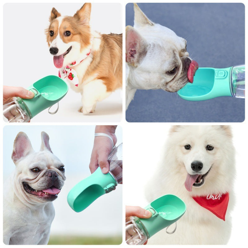 On-The-Go Pet Water Bottle